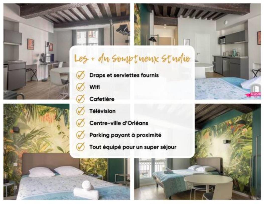 Apartamento Somptueux Studio Hyper Centre Avec Wifi Orléans Exterior foto